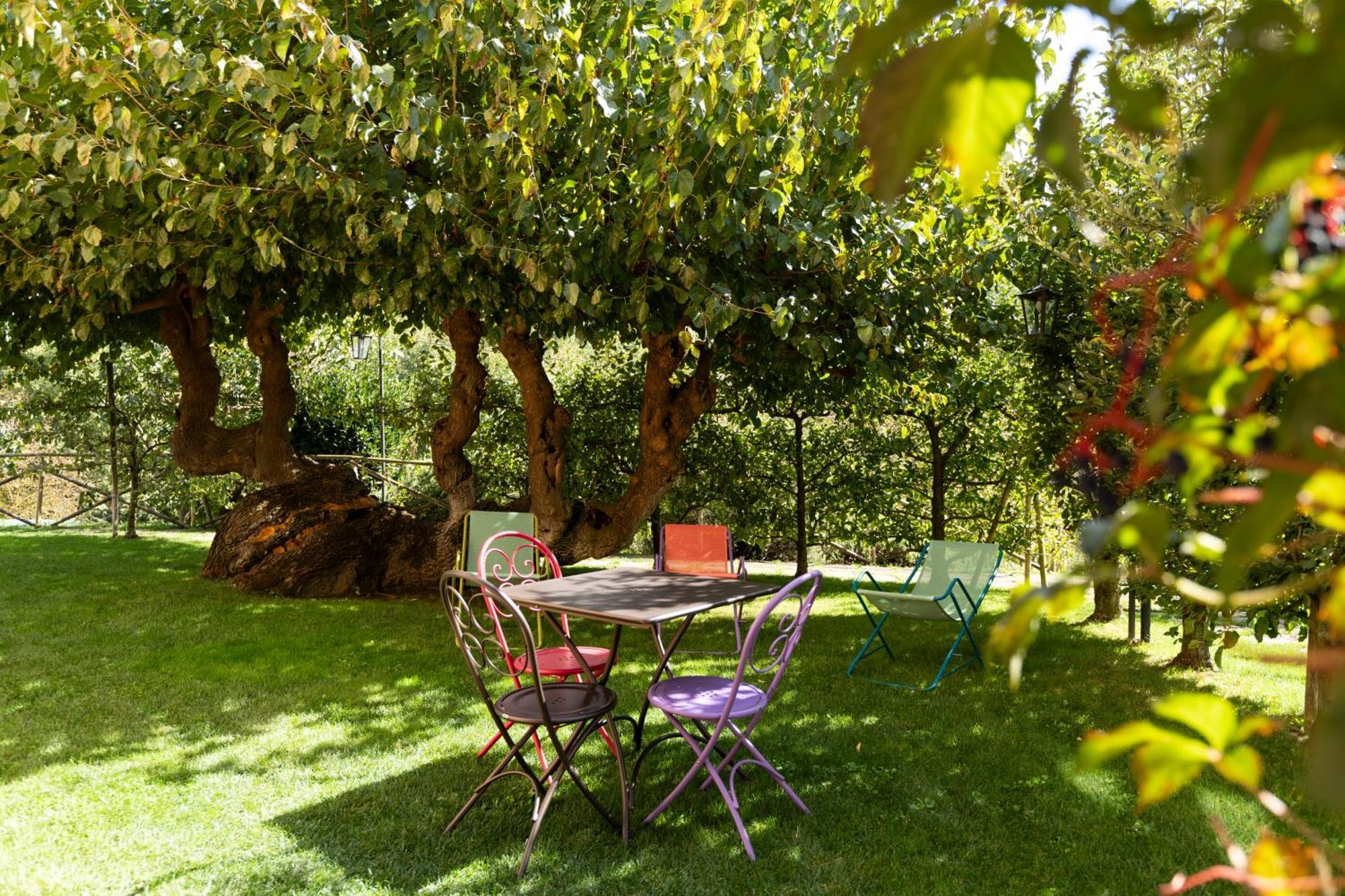 Agriturismo I Gelsi Di Santa Cristina Γκούμπιο Εξωτερικό φωτογραφία